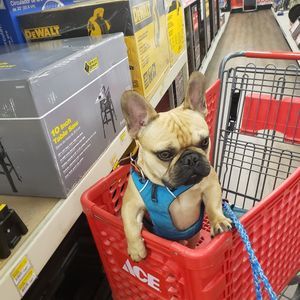 Meet your Posher, Tracy